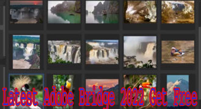 Latest Adobe Bridge 2022 Get Free