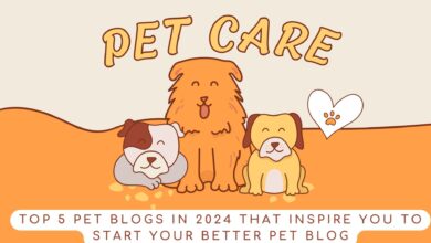 Top 5 Pet Blogs in 2024 That Inspire You to Start your Better Pet Blog