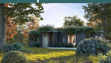 How to Maxtree Plant Models Vol. 59 Free Download