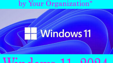 How to Fix Some Settings are Managed by Your Organization in Windows 11 Settings App in 2024