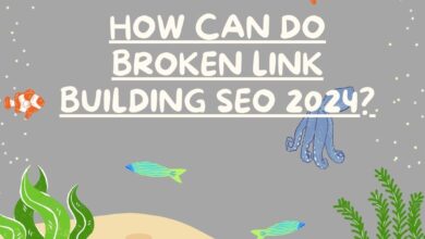 How Can You Do Broken Link Building SEO In 2025? 13 How Can Do Broken Link Building SEO 2024?