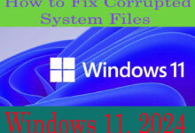 How to Fix Corrupted Files Windows 11 Easily 2025?
