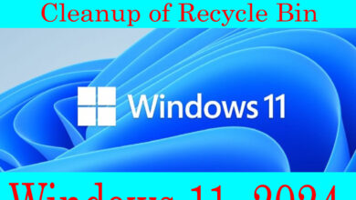 How can Schedule Automatic Windows Cleanup of Recycle Bin in Windows 11, 2024