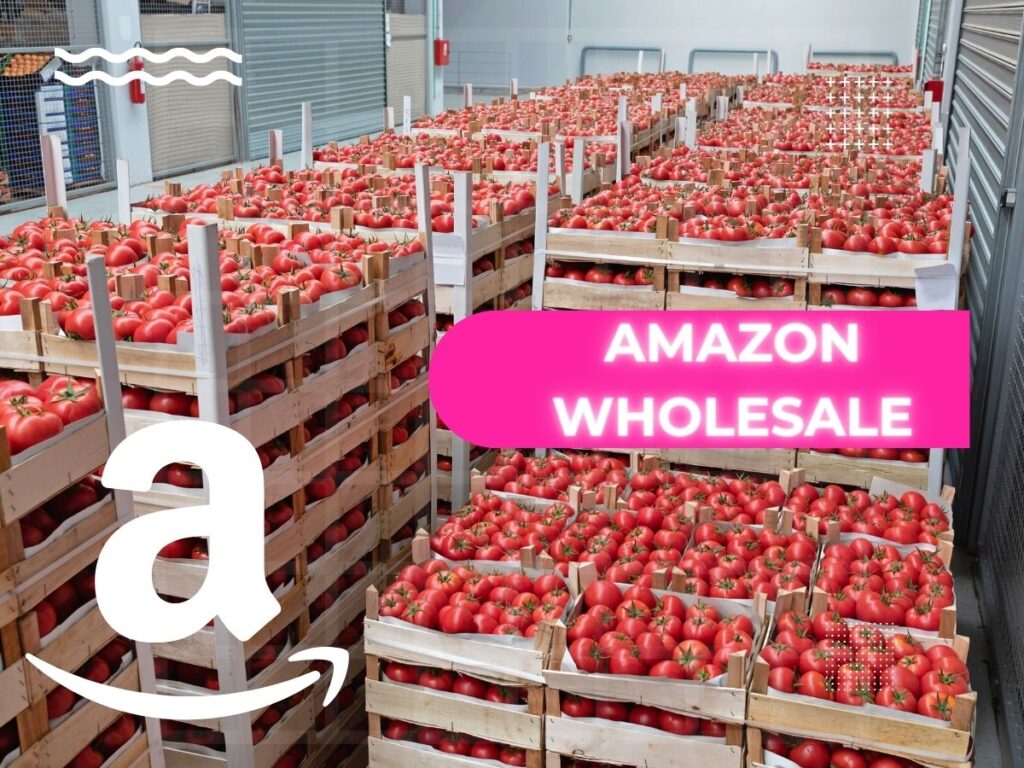 Amazon Wholesale4