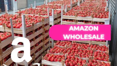 Amazon Wholesale4