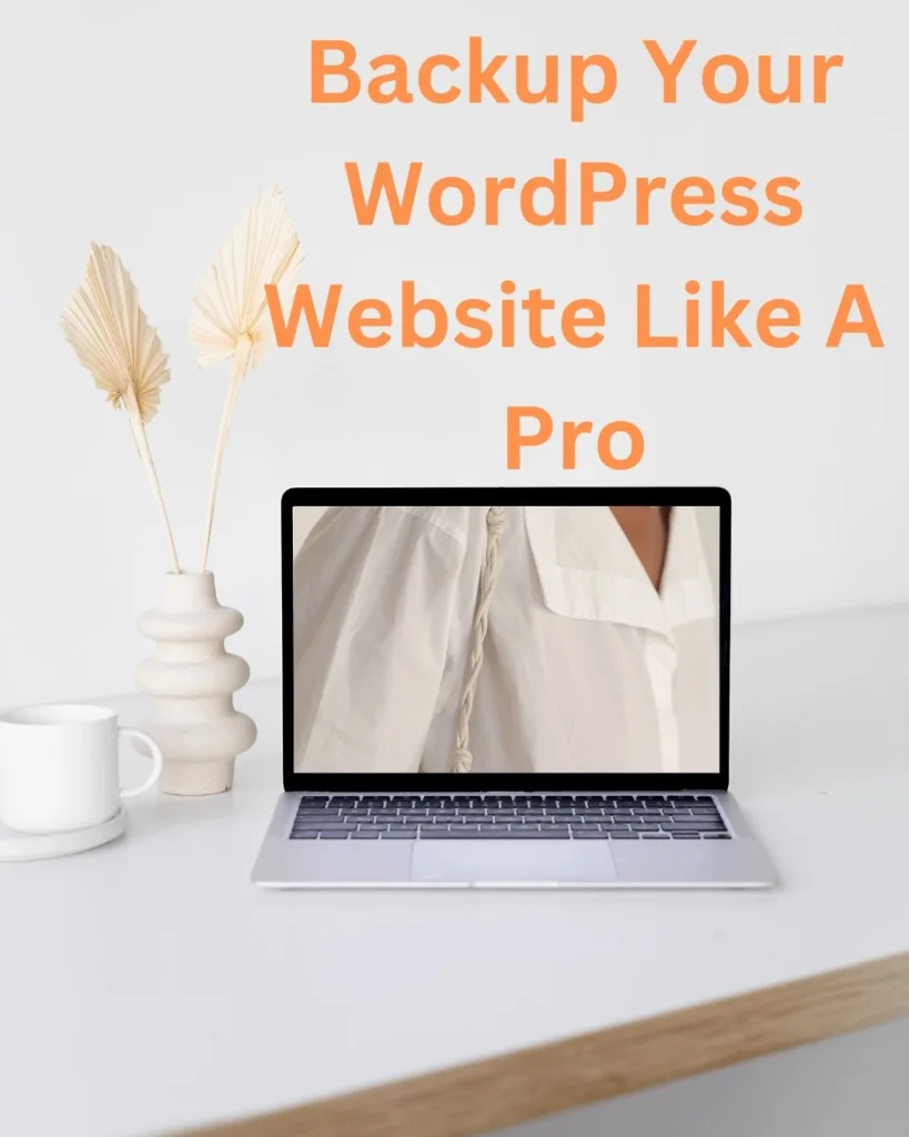 How Can You Backup Your WordPress Website