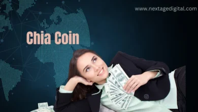 How Much is Chia Coin Worth?