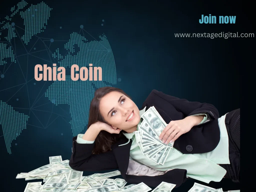 How Much is Chia Coin Worth? 1 How Much is Chia Coin Worth?