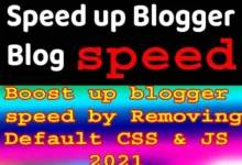 Boost2Bup2Bblogger2Bspeed2Bby2BRemoving2BDefault2BCSS2B25262BJS2B2021 4