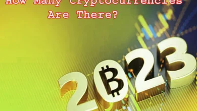 How Many Cryptocurrencies Are There? Best Understanding the Different Types of Cryptocurrency