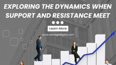 What is the Detail About Support and Resistance Exploring the Dynamics When Support and Resistance Meet