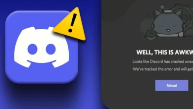 fix Discord crashing