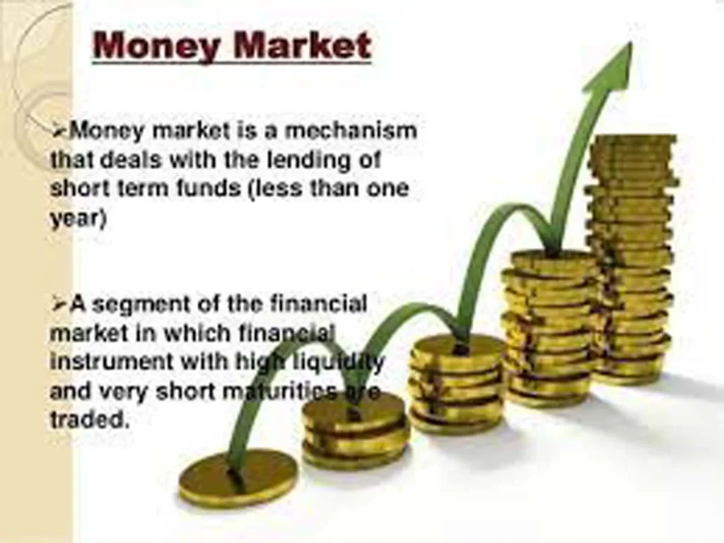 What are money market instruments in Pakistan?