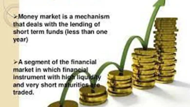 What are money market instruments in Pakistan?