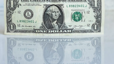 How to Optimize the Digital Marketing Budget of Your Organization